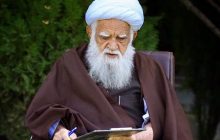 دیدگاه موافقان و مخالفان آیت‌الله محسنی/ مرجعی خدوم در راه تقریب مذاهب اسلامی