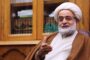 بدون تحمل مشکلات، پیروزی قطعی نخواهد بود/ نصرت الهی چه زمانی نازل می شود؟