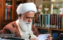 تاثیر ملاکات در اصول فقه نظام ساز/ پنج مؤلفه برای نظام سازی فقه