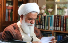 «مدنی بالطبع» بودن انسان چه مبنایی برای علوم اجتماعی فراهم می‌کند؟ / فطرت منبعی هم‌تراز عقل برای ضرورت اقامه حکومت