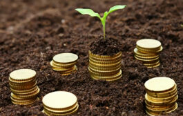 از صندوقهای قرضالحسنه تا نهادسازی اسلامی در اندیشه آیتالله شاهآبادی