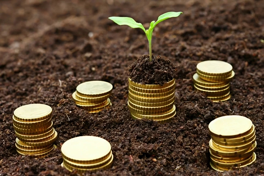 از صندوق‌های قرض‌الحسنه تا نهادسازی اسلامی در اندیشه آیت‌الله شاه‌آبادی