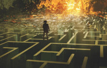 «جامعه خطر» در تقاطع جامعه‌شناسی، محیط زیست و سیاست