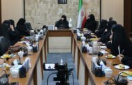 رسالت مدارس در آگاهیبخشی درباره هویت جنسی و تحولات نسلی / چرا برخی کشورها از آموزش کودکمحور فاصله گرفتهاند؟